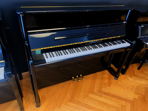 SCHIMMEL Klavier Mod. 120 TN J