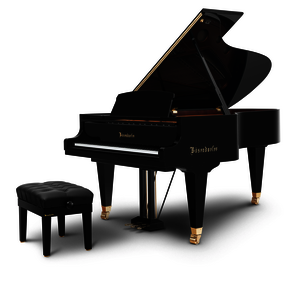 Bösendorfer Grand Piano 214VC - Gestellungsinstrument